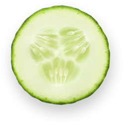 trozo-pepino